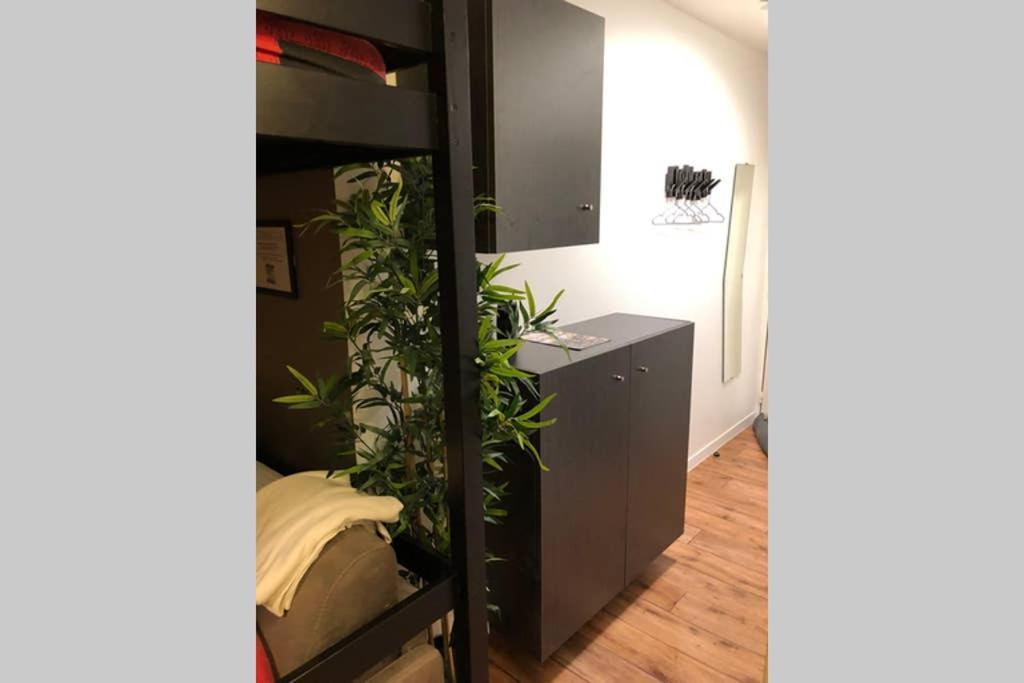 Nice Studio Near Mickey, Disneyland At 5Mn 몽테브랭 외부 사진